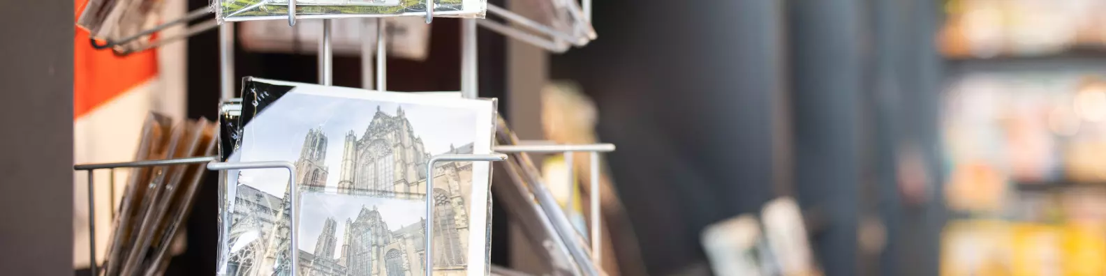 Lees meer over David